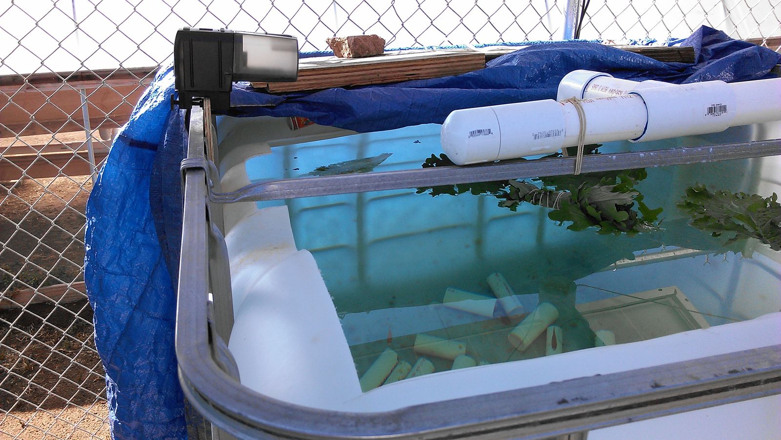 Water splashing back into the tank through the PVC inlet pipe, fish visible below the surface.